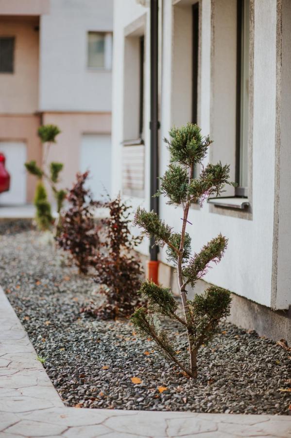 The Nook Aparthotel Timişoara Exterior foto